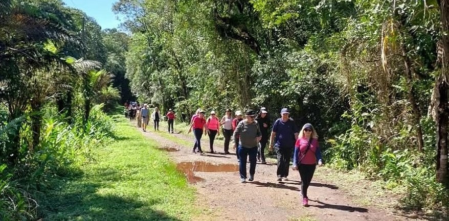 Caminhada_Reservaantonina_orlando.26.1.2.jpg