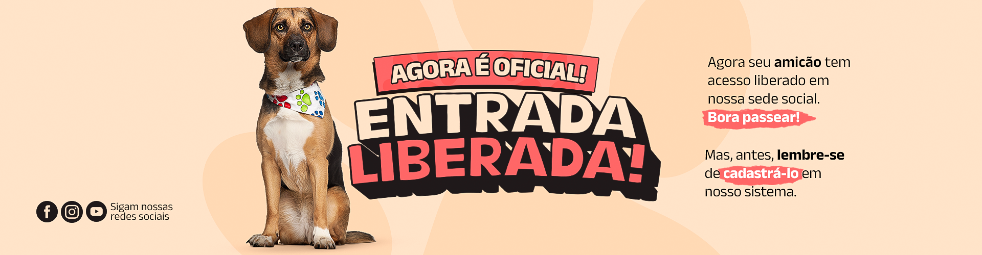 1920x50.png