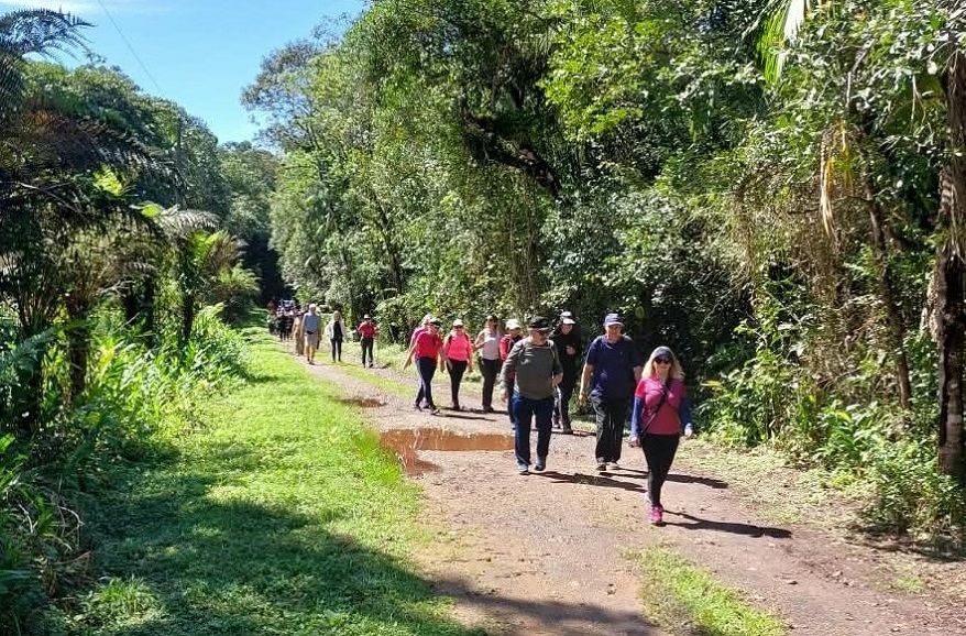 Caminhada_Reservaantonina_orlando.26.1.jpg