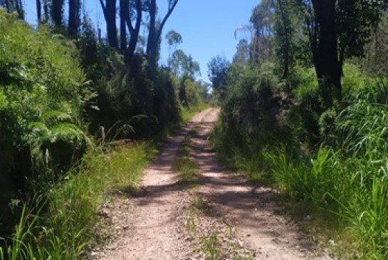 CacheiraSaoJorge_caminhada.22.2.3.1.jpg